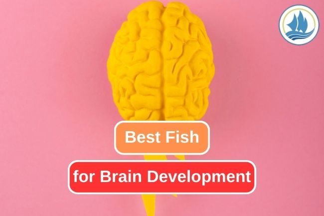 A Dive into Seafood Options to Boost Brain Development